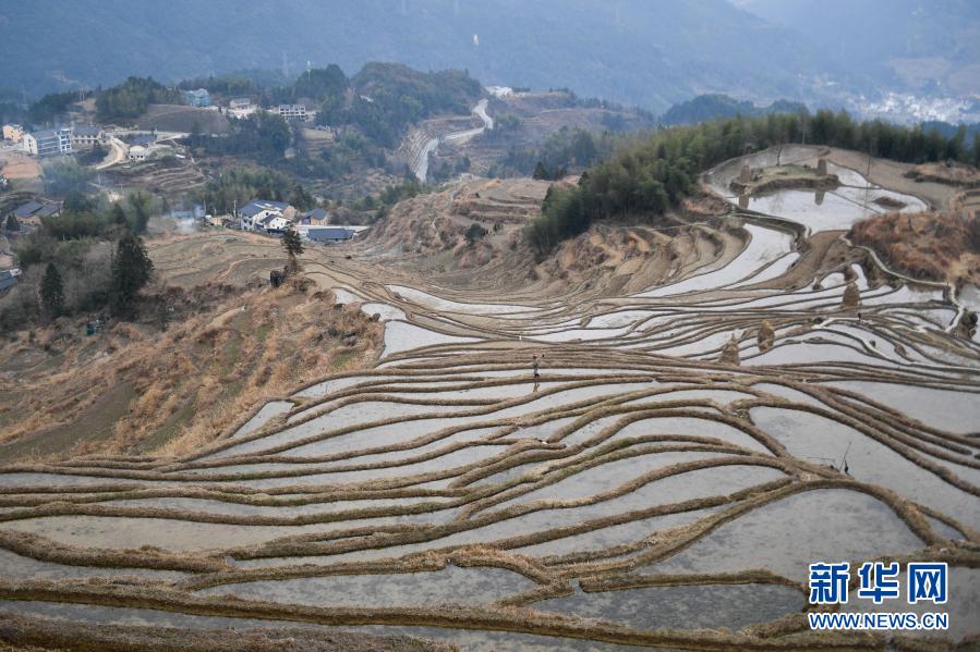 <p>　　2月3日在云和县崇头镇拍摄的云和梯田景色。</p><p>　　立春时节，位于浙江省丽水市云和县崇头镇的云和梯田呈现别样的韵味。</p><p>　　新华社记者 黄宗治 摄</p>