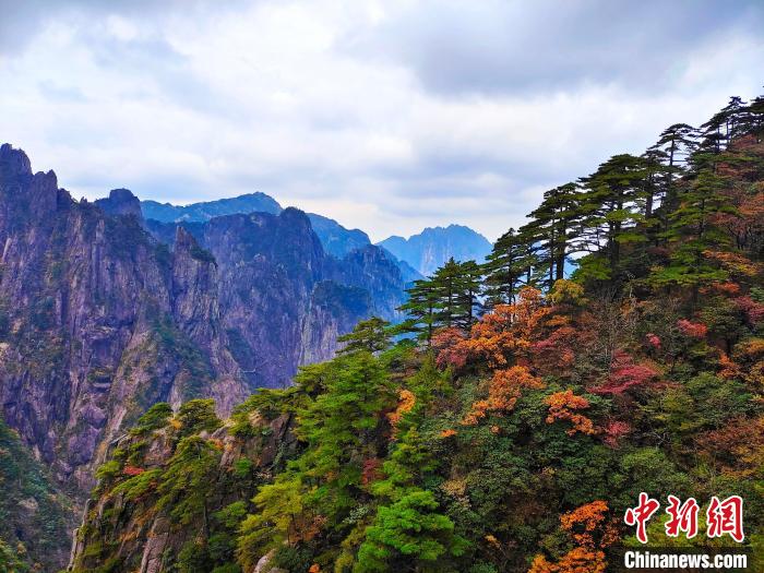 深秋时节安徽黄山秋色斑斓入画图