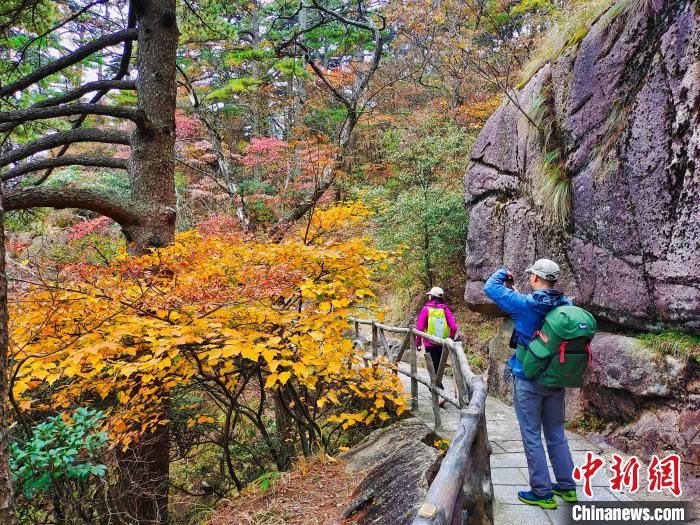 游客在五彩斑斓的秋景中游览 陈伟 摄